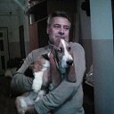 ���� ������, ���������, 66 ��� - ��������� 9 ������ 2017 � ������ ���� ����������