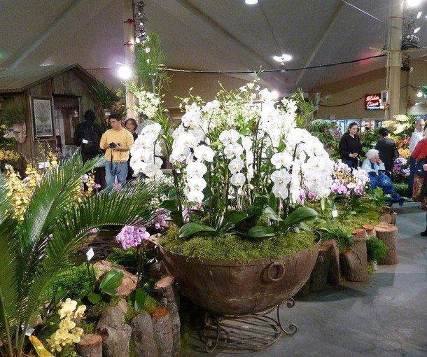 The National Orchid Garden (   )    1859 .   ... - 6