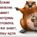 ���� ����, ������ ��������, 62 ���� - ��������� 16 ���� 2017 � ������ ���� ����������