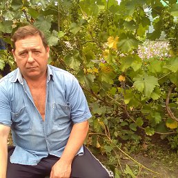 ���� ������, ����������, 61 ��� - ��������� 16 ���� 2017