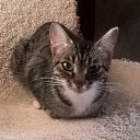 ���� ���������, ������� �����, 47 ��� - ��������� 10 ������� 2017 � ������ ���� ����������