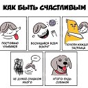 ���� �������, ����������� - ��������� 25 ������� 2017 � ������ ���� ����������