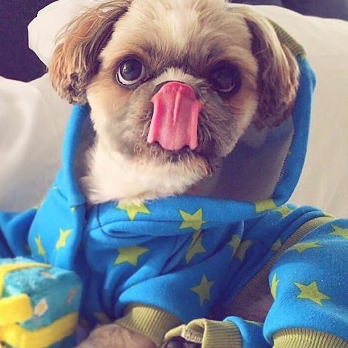 ������ - 31 ������� 2017 � 16:01