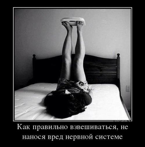   - 11  2017  17:32