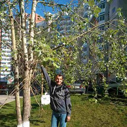 ���������, ����������, 58 ���