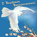 ���� ����, ������� - ��������� 26 ������ 2017 � ������ ���� ����������