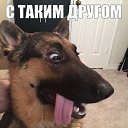 ���� ������, ������������ - ��������� 31 ���� 2017 � ������ ��������