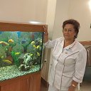  Nina, -, 74  -  29  2017    