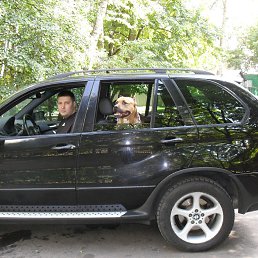 ���� ����, �����������, 52 ���� - ��������� 1 ��� 2017