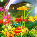 ���� �������, �����������, 53 ���� - ��������� 3 �������� 2017 � ������ ���� ����������