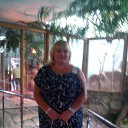  , , 41  -  28  2017   2017