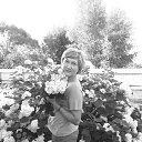 ���� �����, �����, 54 ���� - ��������� 9 ������� 2017 � ������ ���� ����������