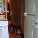 ���� ��������, �����-���������, 48 ��� - ��������� 22 ������ 2017 � ������ ���� ����������