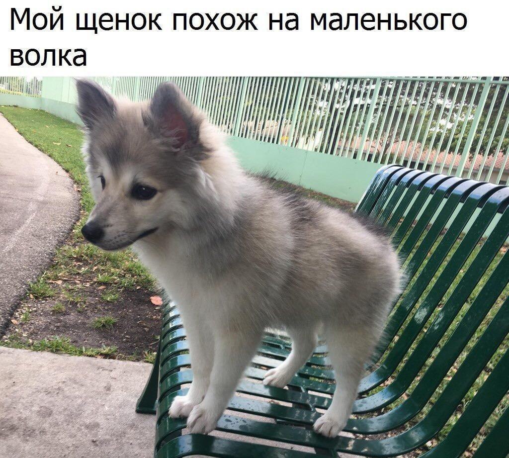  - 12  2017  09:13