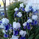 ���� �������, ������, 58 ��� - ��������� 3 ���� 2017 � ������ ���������� �����