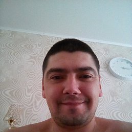 ���� ������, �����-���������, 41 ��� - ��������� 12 ���� 2017