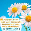 ���� ��������, ������, 47 ��� - ��������� 1 ������� 2017 � ������ ���� ����������