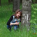 ���� ���������, ������ ��������, 61 ��� - ��������� 23 ���� 2017 � ������ ��������� 2017�