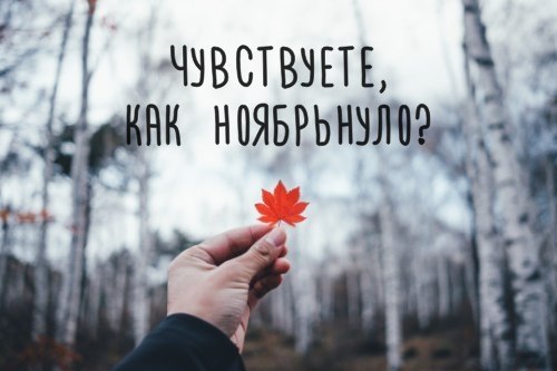   - 2  2017  03:35