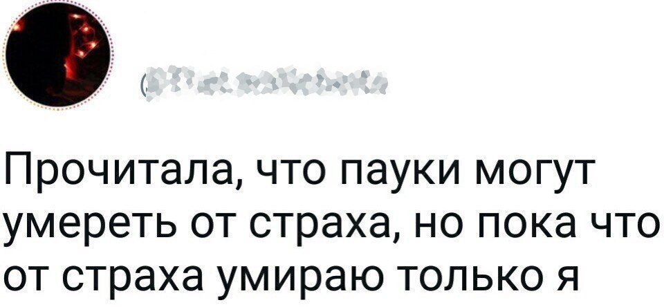   - 5  2017  11:39
