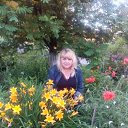 ���� ���������, �����, 64 ���� - ��������� 7 ���� 2017 � ������ ������ ��������