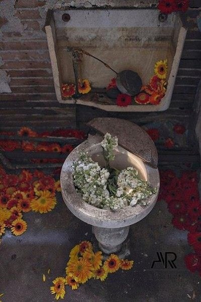 Проект