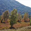 ���� **�lena**, ������ - ��������� 1 ������� 2017 � ������ ���� ����� �����л