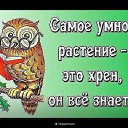 ���� Nina, ������ - ��������� 4 ������� 2017 � ������ ������ ��������
