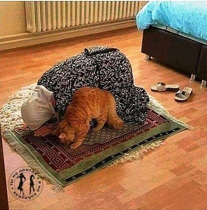  ,  ....))))