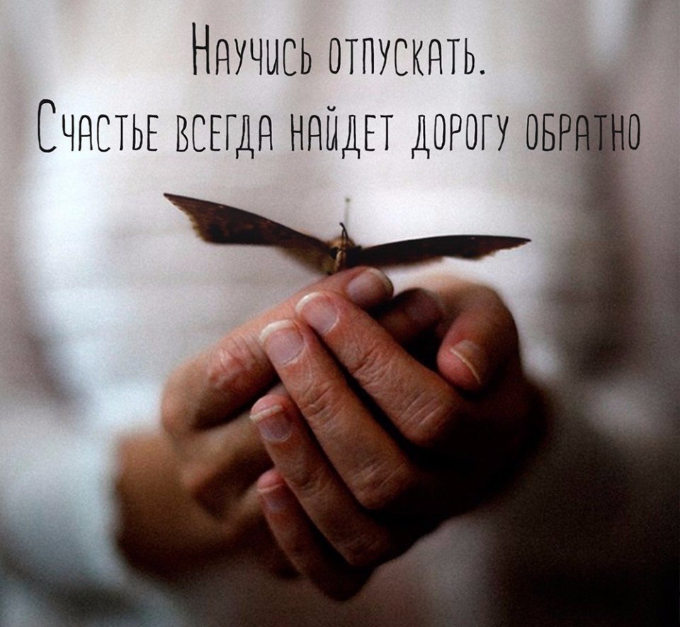   -  ,  -  - 8  2017  21:38