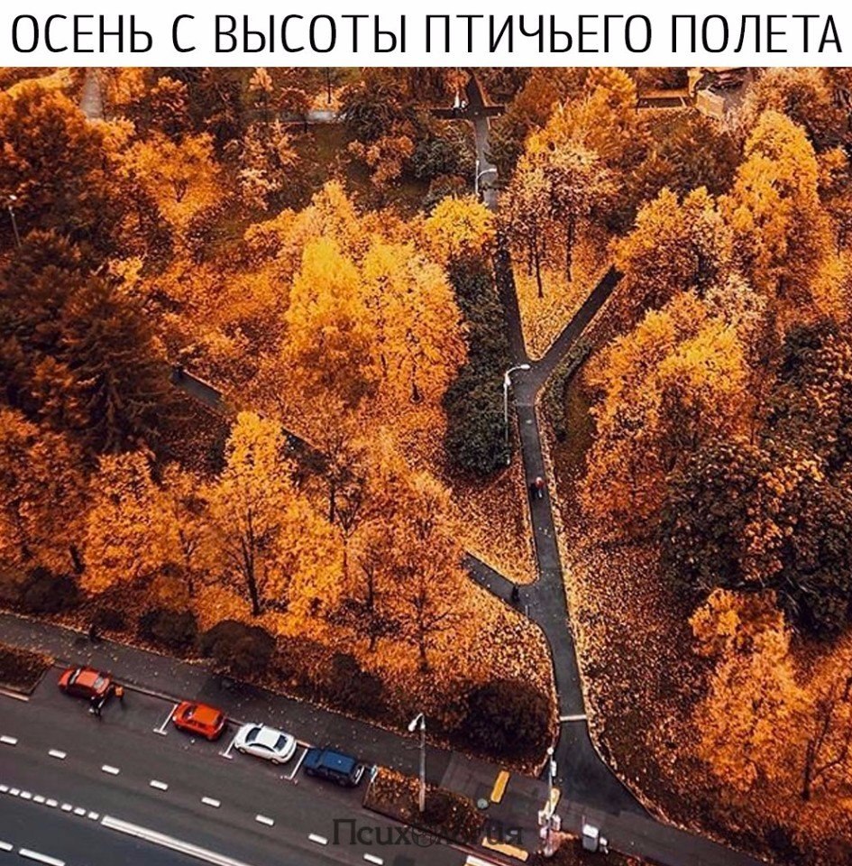  - 16  2017  03:33