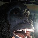 ���� ����, ������, 48 ��� - ��������� 3 ������� 2017 � ������ ���� ����������