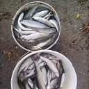  Viktor,  -  14  2017    