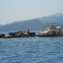  , -, 42  -  8  2017   , 2017 ()