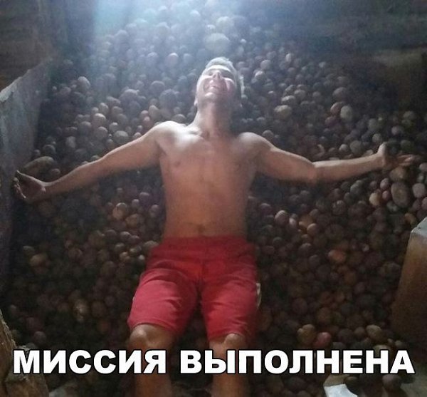    :D - 4  2017  07:10