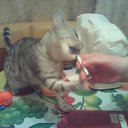 ���� ������, �����������, 61 ��� - ��������� 19 ������� 2017 � ������ ���� ������� �����