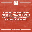 ���� �����, ������, 50 ��� - ��������� 8 �������� 2017 � ������ ���� ����������