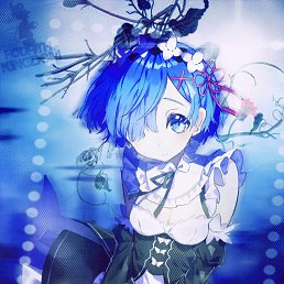 ���� �����, ������������, 29 ��� - ��������� 1 ���� 2017