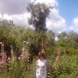 ����� ������, ������-��-����, 65 ���