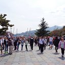  , , 60  -  13  2017   9  2017,,,, 