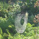 ���� ����, ������ �������� - ��������� 26 �������� 2017