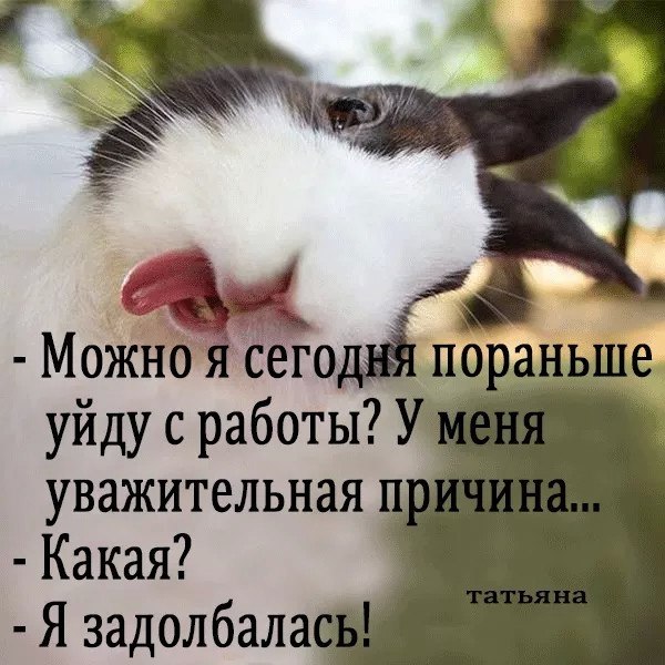  - 10  2017  16:00