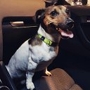 ���� �����, ������, 41 ��� - ��������� 29 �������� 2017 � ������ ���� ����������