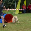  Aleks, , 54  -  22  2017   Agility