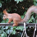  , , 60  -  16  2017    -, 2017