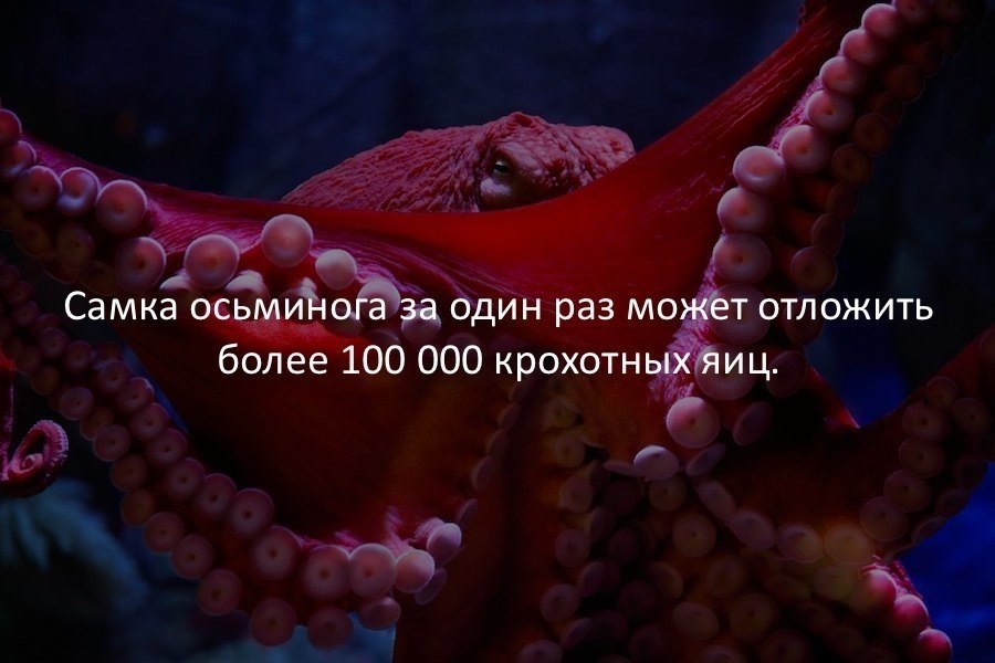   .. - 27  2017  12:52