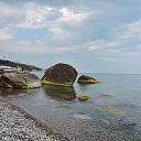  , , 60  -  29  2017   ,, 2017, ...