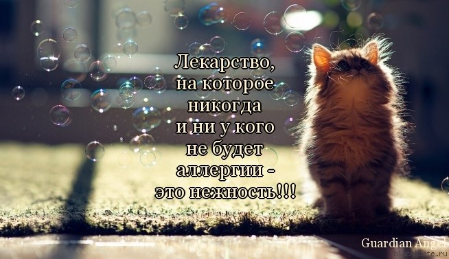  - 2  2017  14:35