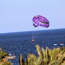 ���� �����, ��������������, 61 ��� - ��������� 25 ��� 2017 � ������ ������ ������