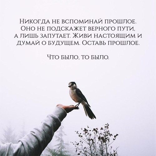   . . . - 9  2017  16:13